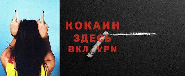 прущие крисы Инта
