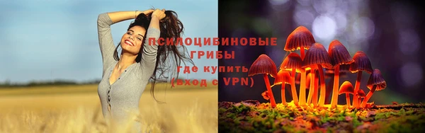 соль курить ск Инсар