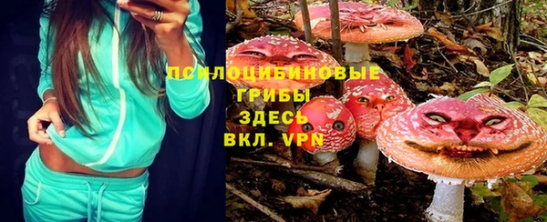 шишки Зерноград