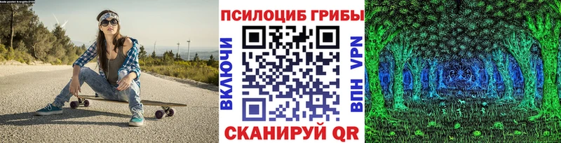 Псилоцибиновые грибы Psilocybe  Купить  Зерноград 