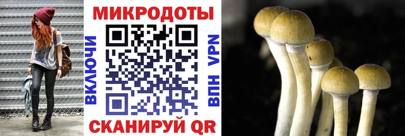 Псилоцибиновые грибы мухоморы Зерноград